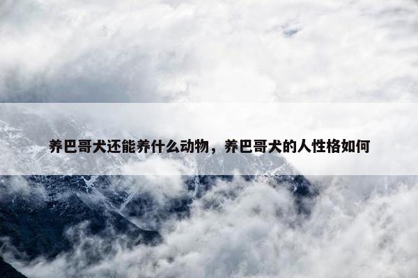 养巴哥犬还能养什么动物，养巴哥犬的人性格如何