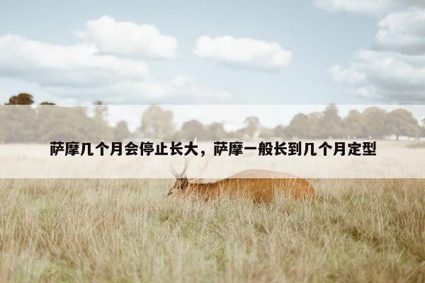 萨摩几个月会停止长大，萨摩一般长到几个月定型