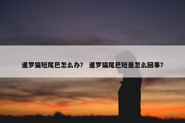 暹罗猫短尾巴怎么办？ 暹罗猫尾巴短是怎么回事？
