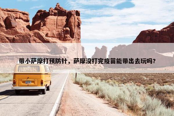 带小萨摩打预防针，萨摩没打完疫苗能带出去玩吗?