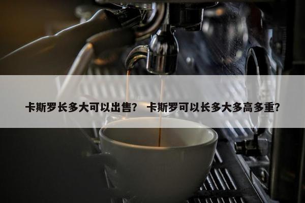 卡斯罗长多大可以出售？ 卡斯罗可以长多大多高多重？