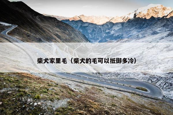 柴犬家里毛（柴犬的毛可以抵御多冷）