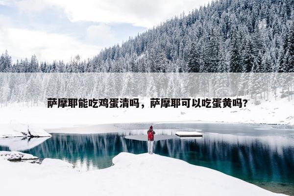萨摩耶能吃鸡蛋清吗，萨摩耶可以吃蛋黄吗?
