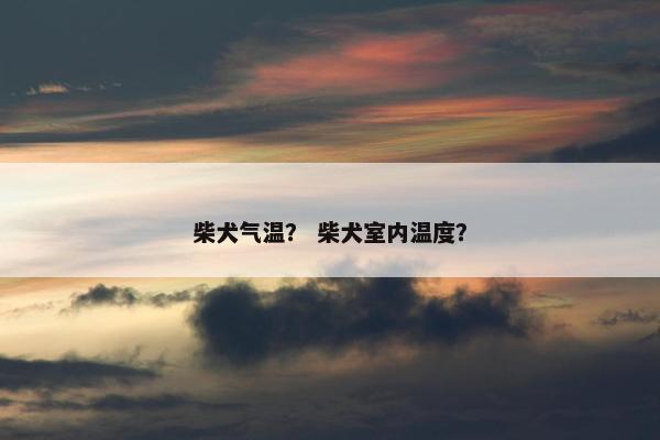 柴犬气温？ 柴犬室内温度？