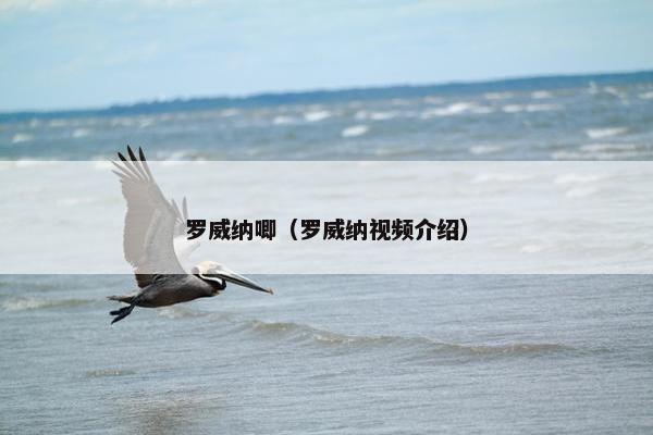 罗威纳唧（罗威纳视频介绍）