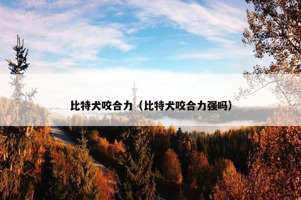 比特犬咬合力（比特犬咬合力强吗）