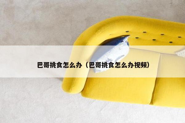 巴哥挑食怎么办（巴哥挑食怎么办视频）