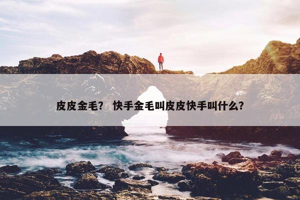 皮皮金毛？ 快手金毛叫皮皮快手叫什么？