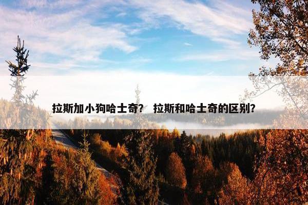 拉斯加小狗哈士奇？ 拉斯和哈士奇的区别？