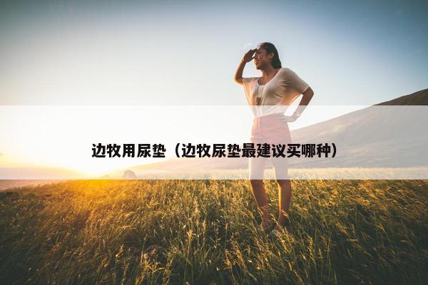 边牧用尿垫（边牧尿垫最建议买哪种）