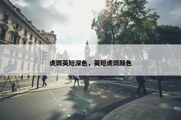 虎斑英短深色，英短虎斑颜色