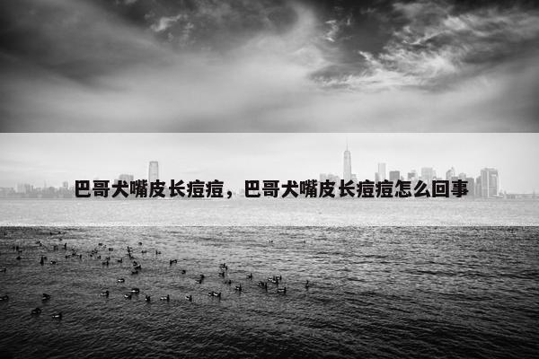 巴哥犬嘴皮长痘痘，巴哥犬嘴皮长痘痘怎么回事