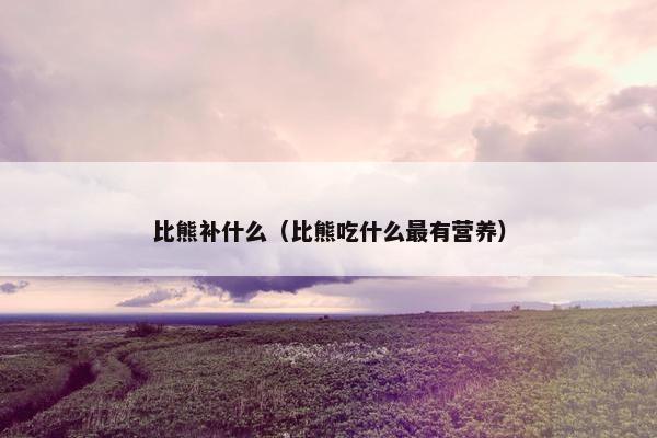 比熊补什么（比熊吃什么最有营养）