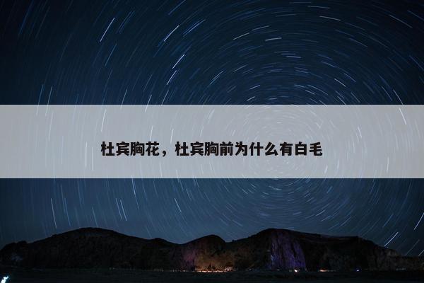 杜宾胸花，杜宾胸前为什么有白毛