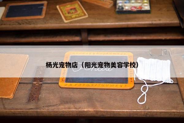 杨光宠物店（阳光宠物美容学校）