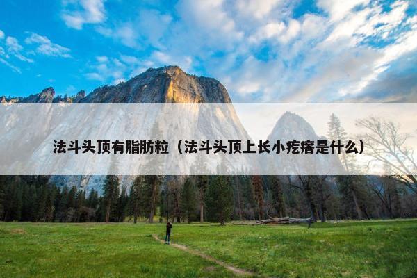 法斗头顶有脂肪粒（法斗头顶上长小疙瘩是什么）