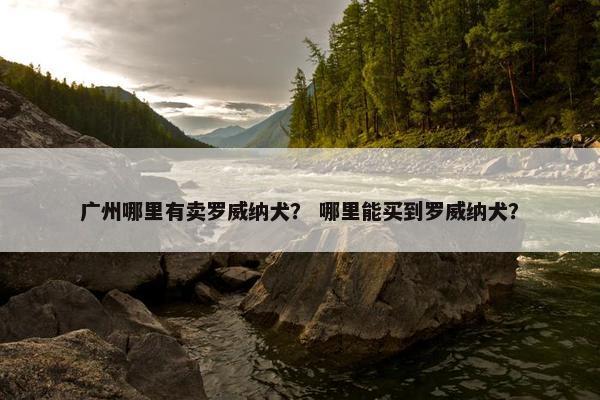 广州哪里有卖罗威纳犬？ 哪里能买到罗威纳犬？