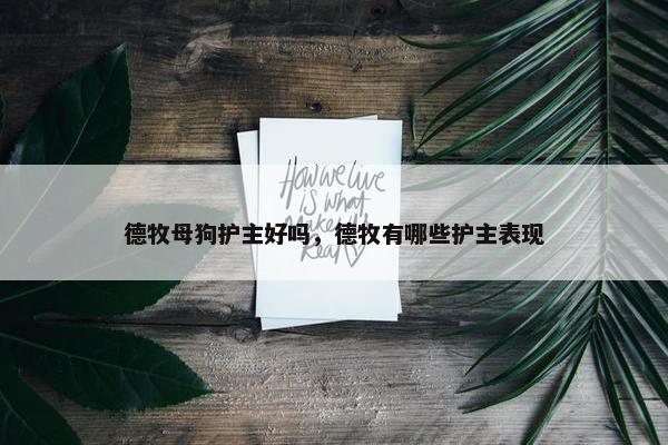 德牧母狗护主好吗，德牧有哪些护主表现