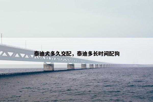 泰迪犬多久交配，泰迪多长时间配狗