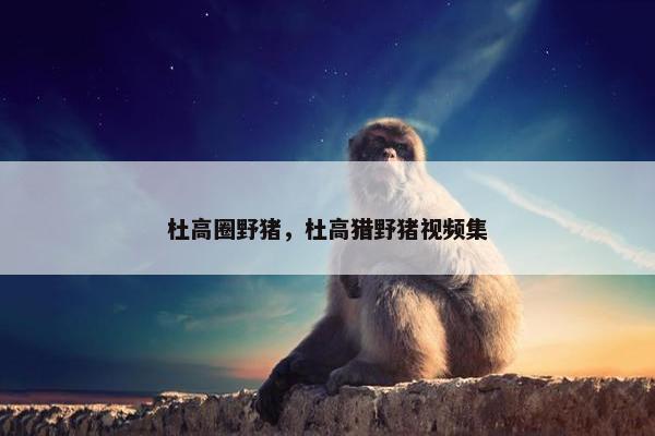 杜高圈野猪，杜高猎野猪视频集