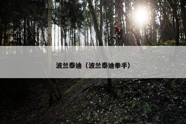 波兰泰迪（波兰泰迪拳手）