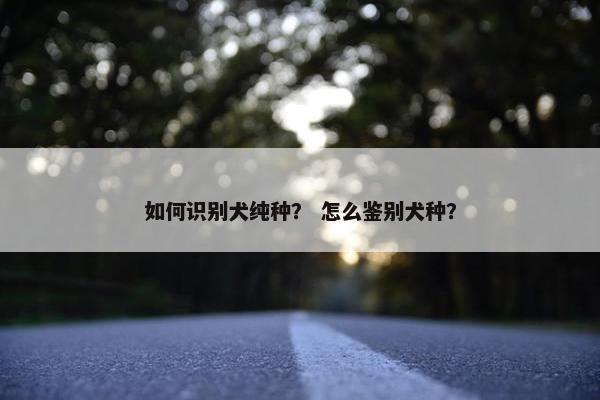 如何识别犬纯种？ 怎么鉴别犬种？