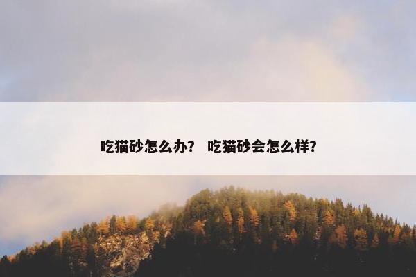 吃猫砂怎么办？ 吃猫砂会怎么样？
