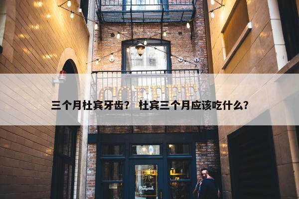 三个月杜宾牙齿？ 杜宾三个月应该吃什么？