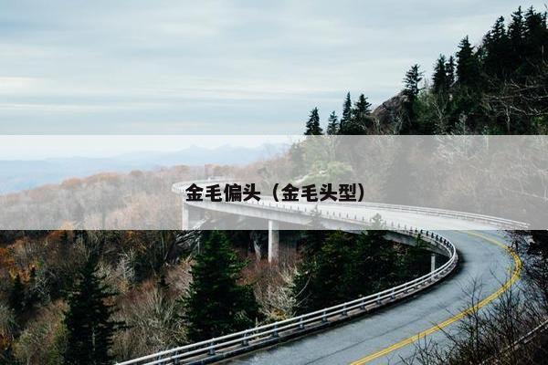 金毛偏头（金毛头型）