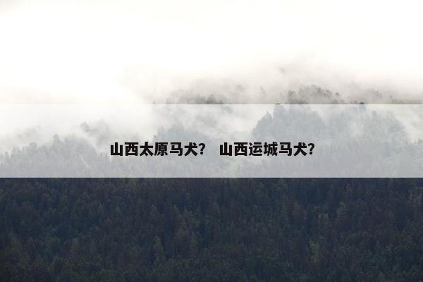 山西太原马犬？ 山西运城马犬？