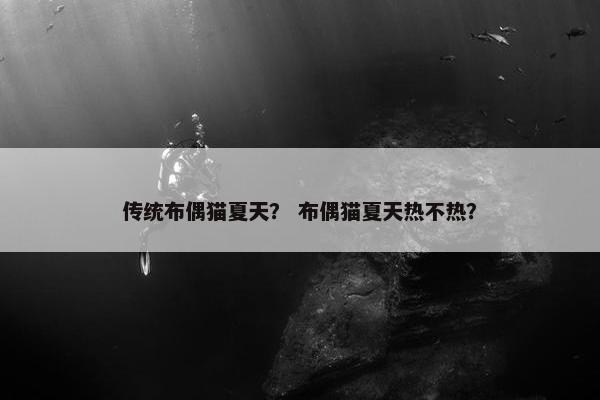 传统布偶猫夏天？ 布偶猫夏天热不热？