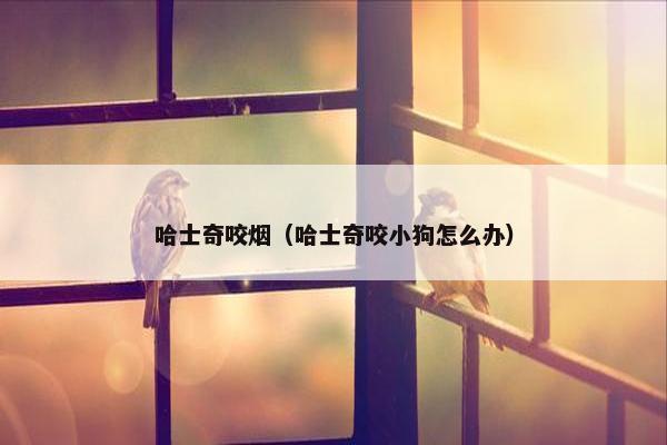 哈士奇咬烟（哈士奇咬小狗怎么办）