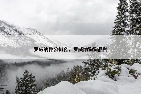 罗威纳种公排名，罗威纳狗狗品种