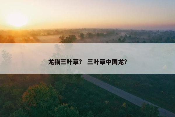 龙猫三叶草？ 三叶草中国龙？
