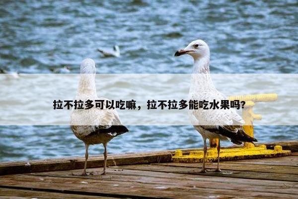 拉不拉多可以吃嘛，拉不拉多能吃水果吗?