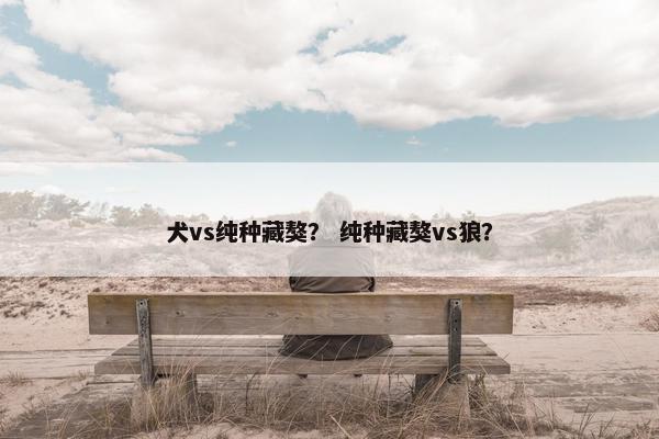 犬vs纯种藏獒？ 纯种藏獒vs狼？