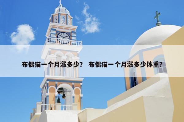 布偶猫一个月涨多少？ 布偶猫一个月涨多少体重？