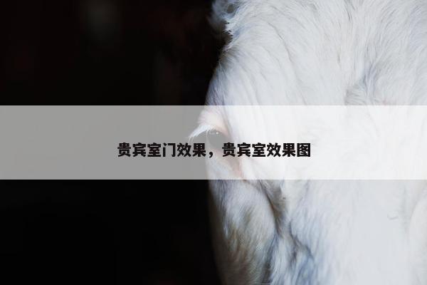 贵宾室门效果，贵宾室效果图