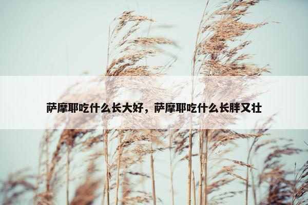萨摩耶吃什么长大好，萨摩耶吃什么长胖又壮