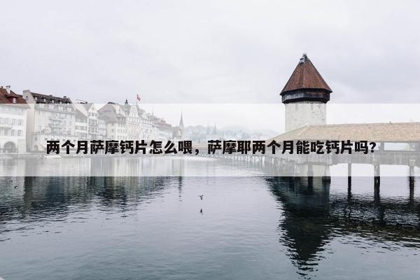 两个月萨摩钙片怎么喂，萨摩耶两个月能吃钙片吗?