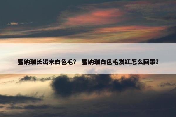雪纳瑞长出来白色毛？ 雪纳瑞白色毛发红怎么回事？