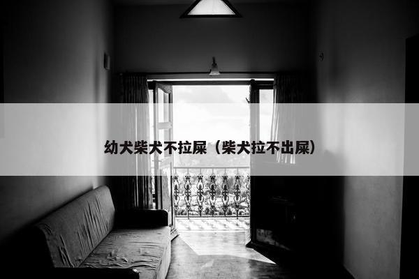幼犬柴犬不拉屎（柴犬拉不出屎）
