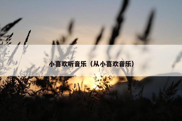 小喜欢听音乐（从小喜欢音乐）