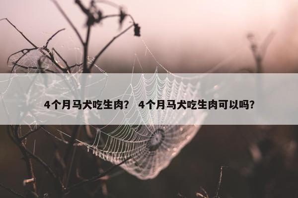 4个月马犬吃生肉？ 4个月马犬吃生肉可以吗？