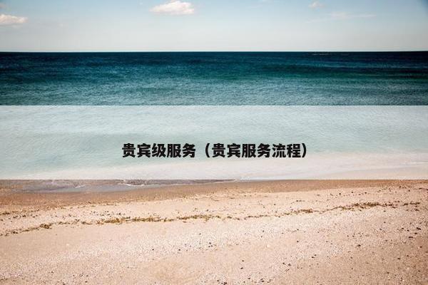 贵宾级服务（贵宾服务流程）