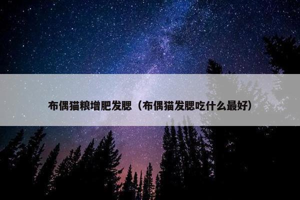 布偶猫粮增肥发腮（布偶猫发腮吃什么最好）