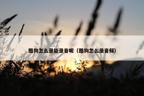 酷狗怎么录能录音呢（酷狗怎么录音频）