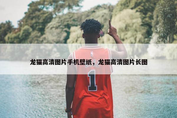 龙猫高清图片手机壁纸，龙猫高清图片长图