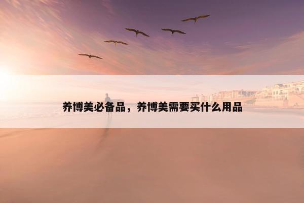 养博美必备品，养博美需要买什么用品