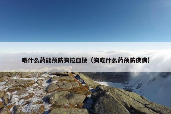 喂什么药能预防狗拉血便（狗吃什么药预防疾病）